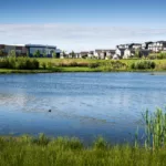 How Chloe's Law Helps Florida Drivers How Chloe's Law Helps Florida Drivers